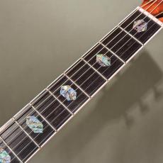 K.Yairi YW-800G Custom_5