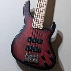 Sadowsky Metroline ML24 MS5 ASH -Burgundy Blackburst- #B 005465-25【4.45kg】
