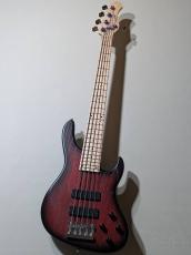 Sadowsky Metroline ML24 MS5 ASH -Burgundy Blackburst- #B 005465-25【4.45kg】_2