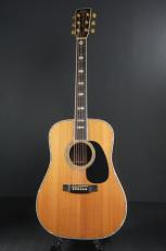 Martin D-45