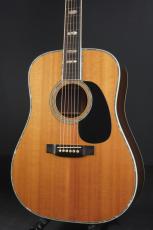 Martin D-45_2