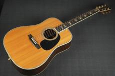 Martin D-45_10