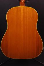 Epiphone TEXAN_3