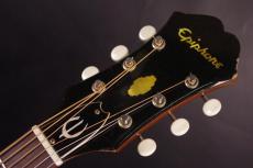 Epiphone TEXAN_4