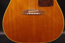 Epiphone TEXAN_9