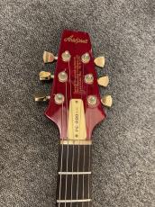 Aria Pro II PE-R80_3