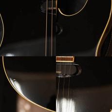 FERNANDES TEJ-70_5