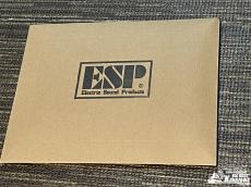 ESP SNAPPER-CTM/QM 20th Anniversary【20本限定! 特別仕様!】_10