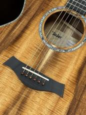 Taylor 【TaylorCustom 商談会モデル】CTM GA Master Grade Koa_3