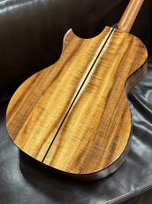 Taylor 【TaylorCustom 商談会モデル】CTM GA Master Grade Koa_4