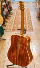 Gibson 【良サップ個体!】Hummingbird Custom Koa #20656019【2026年製】_7