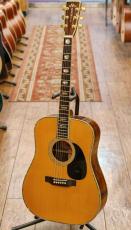 Morris TF-430【ハカランダ単板S&B】【1980～82年頃製】_2