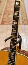 Morris TF-430【ハカランダ単板S&B】【1980～82年頃製】_4