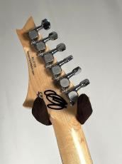 G-Life Guitars 【日本製ハイエンドギター】DSG EXTREME 5AFGM-HR -Aqua Blue Resort-【USED】_3