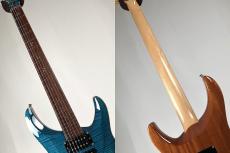 G-Life Guitars 【日本製ハイエンドギター】DSG EXTREME 5AFGM-HR -Aqua Blue Resort-【USED】_9