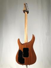 G-Life Guitars 【日本製ハイエンドギター】DSG EXTREME 5AFGM-HR -Aqua Blue Resort-【USED】_10