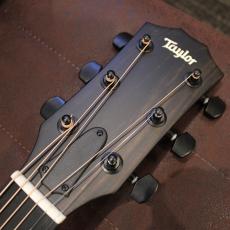 Taylor 【ちょい傷特価】214ce Plus Special Edition -Trans Blue- 【演奏動画あり】_4