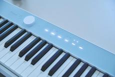 Casio PX-S1100 CB