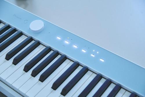 Casio PX-S1100 CB