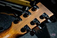 Martin GPCPA4 Rosewood / 2015_8