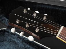 KING SNAKE Smith ~Tobacco Sunburst~_3