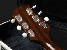 KING SNAKE Smith ~Tobacco Sunburst~_10