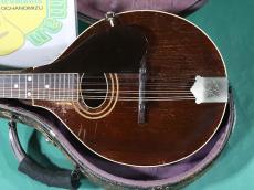 Gibson A2_2