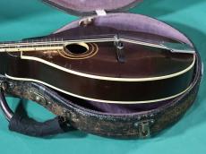 Gibson A2_4