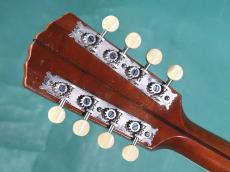Gibson A2_6