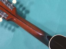 Gibson A2_8
