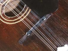 Gibson A2_9
