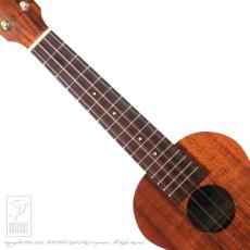 Kamaka HF-2 (Concert)_5