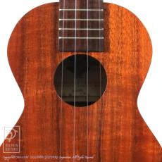Kamaka HF-2 (Concert)_11