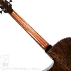Acatstic Guitars Caravyn (modified GS Cutaway)【サウンドメッセin大阪 2026出展作品】_6