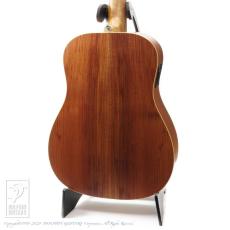 Cole Clark  FL2A-12 (12-Strings)_3