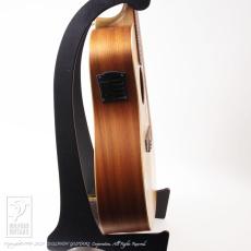 Cole Clark  FL2A-12 (12-Strings)_5