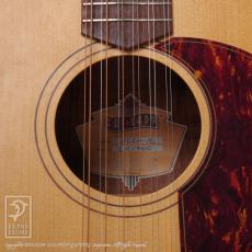 Cole Clark  FL2A-12 (12-Strings)_12