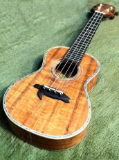 Big Island KX-CTG 【コンサート/ハワイアンコア】【KX Deluxe Series】【24回金利0%対象】【送料込】_2