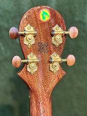 Big Island KX-CTG 【コンサート/ハワイアンコア】【KX Deluxe Series】【24回金利0%対象】【送料込】_9