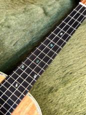 Big Island KX-TRG 【テナー/ハワイアンコア】【KX Deluxe Series】【24回金利0%対象】【送料込】_7