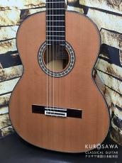 Juan Hernandez [ホアン・エルナンデス] 2025年製 Maestro C 杉・ココボロ Lattice ラティス【日本総本店2F 在庫品】