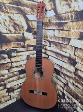 Juan Hernandez [ホアン・エルナンデス] 2025年製 Maestro C 杉・ココボロ Lattice ラティス【日本総本店2F 在庫品】_2