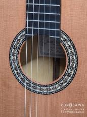Juan Hernandez [ホアン・エルナンデス] 2025年製 Maestro C 杉・ココボロ Lattice ラティス【日本総本店2F 在庫品】_3