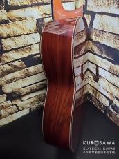 Juan Hernandez [ホアン・エルナンデス] 2025年製 Maestro C 杉・ココボロ Lattice ラティス【日本総本店2F 在庫品】_10