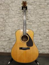 YAMAHA 1981 L-15_11