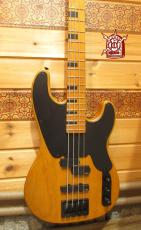 SCHECTER MODEL-T SESSION AD-MT-SS-4