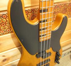 SCHECTER MODEL-T SESSION AD-MT-SS-4_4