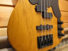 SCHECTER MODEL-T SESSION AD-MT-SS-4_5