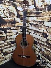 Paco Castillo パコ・カスティージョ Model:205C 杉・ローズウッド 20フレット【日本総本店2F在庫品】