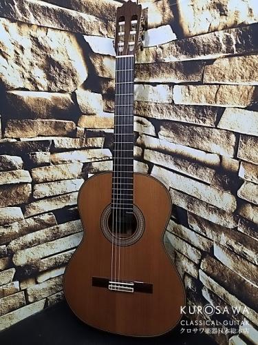 Paco Castillo パコ・カスティージョ Model:205C 杉・ローズウッド 20フレット【日本総本店2F在庫品】
